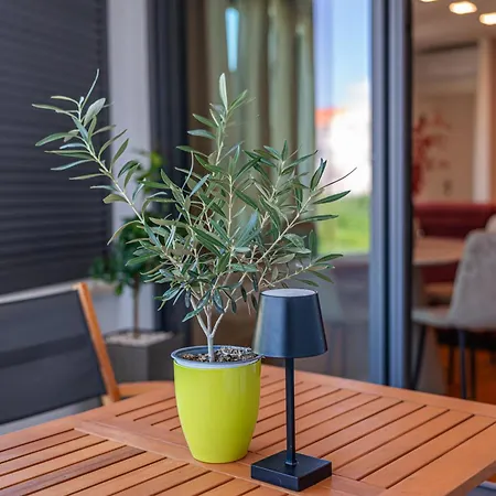 Apartment Rubi